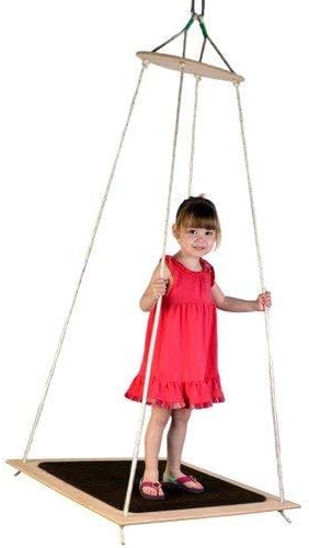 Edge Series Clinical Platform Swing