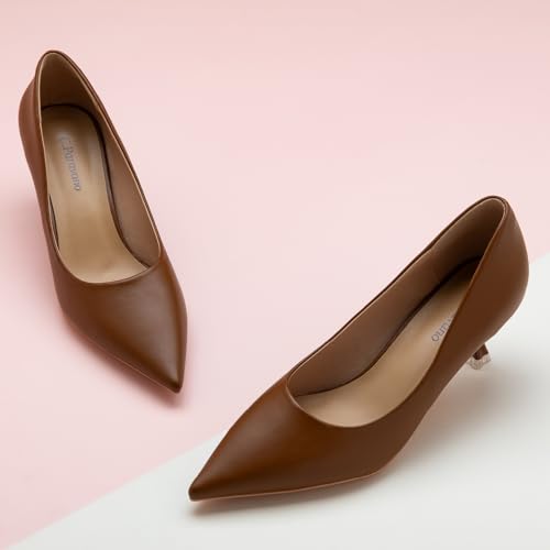 C.Paravano Classic Women's Pumps Pointy Heels for Ladies Stiletto Heel Pointed Toe Pumps for Office Wear Womens Heels Comfortable Dressy2