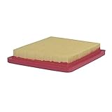 Southland Outdoor Power Equipment A201700P Air Filter for Walk Behind Lawn Mower, Field Trimmer & Front Tine Tiller