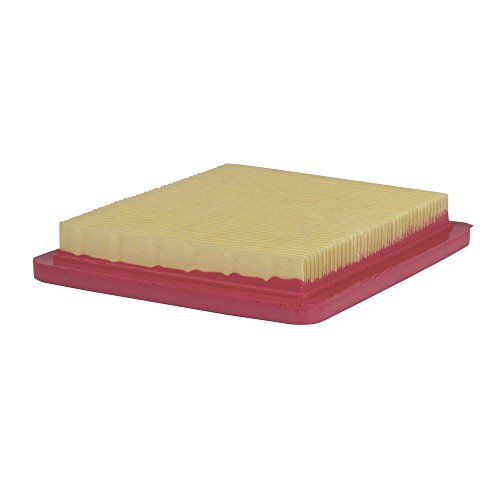 Southland Outdoor Power Equipment A201700P Air Filter for Walk Behind Lawn Mower, Field