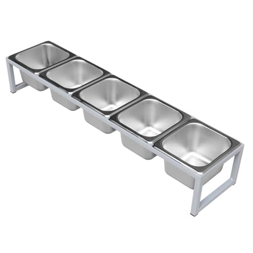 Juego de especieros comerciales, organizador de condimentos, dispensador de condimentos, para salsas, ensaladas, mermeladas, ingredientes, para cocinas y bufés (plateado, 81,5 x 18,5 x 13,5 cm)