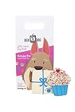 BoxDog Handmade in USA Dog Birthday Boy Cookies | Tasty Dog Birthday Boy Gift with only 5 Ingredient