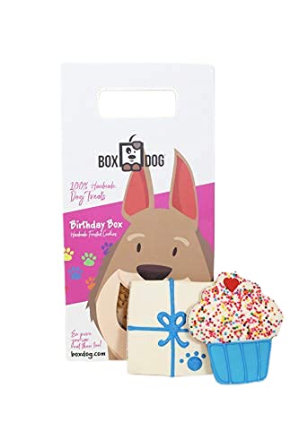Boxdog Handmade In Usa Dog Birthday Boy Cookies | Tasty Dog Birthday Boy Gift With Only 5 Ingredients #TOP2