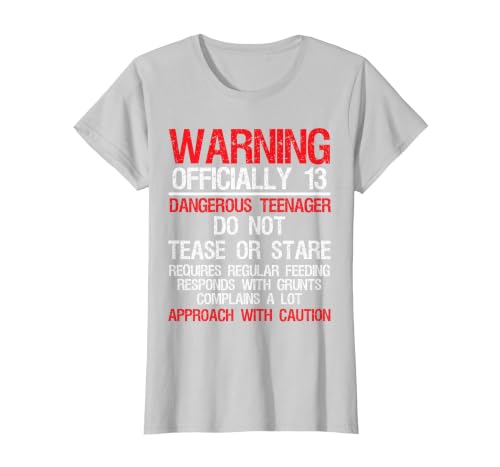 13 Years Old Warning Dangerous Teenager 13th Birthday T-Shirt, Women, Silver Grey, Small
