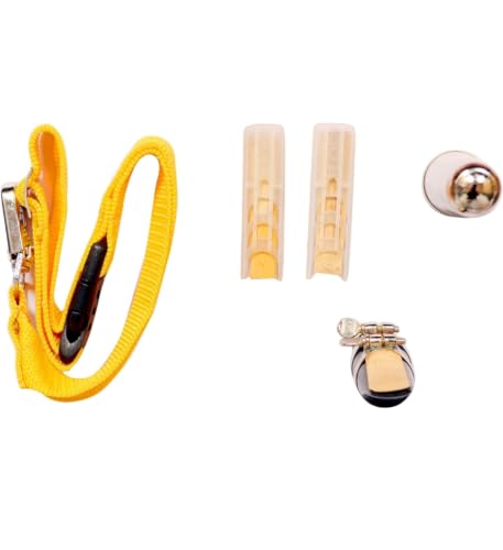 Generic Alto E♭ Saxophone Starter Set, Silver - Image 4