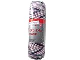 im Schutzbeutel SCHOELLER Topflappengarn Record 210 Color Quarz
