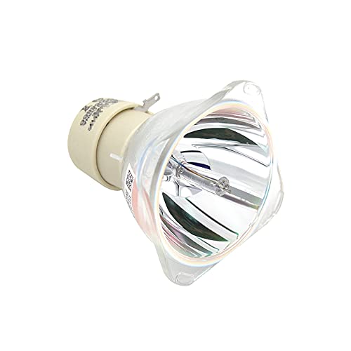 Ampoule projecteur NP13LP pour modèles NP115 et NP-V280