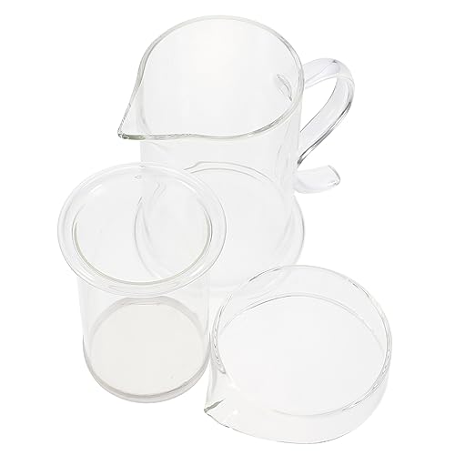 GLEAVI 1Juego Tetera de con Filtro Tetera de Transparente para Oficina y Hogar Diseño Ergonómico y Elegante para Infusiones