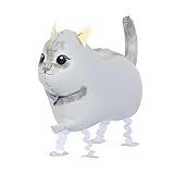 Kopper-24