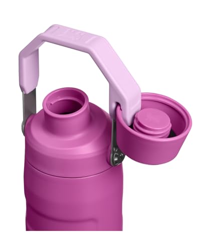 Image of STANLEY IceFlow Fast Flow Bottle, 16 oz, Dark Blossom | Angled Spout Lid | Lightweight and Leakproof for Travel and Sports | Easy Carry Handle | Insulated Stainless Steel | BPA-Free