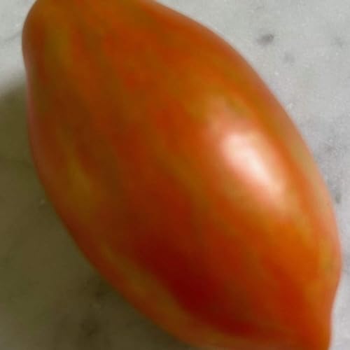 Prairie Fire Tomato Seeds 25 Seeds