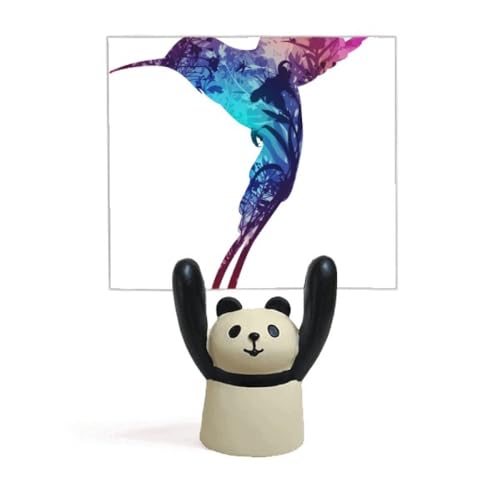 Support oiseaux haute protection design coloré pour extérieur haut de gamme