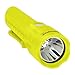 Nightstick XPP-5422G 3 AA Intrinsically Safe Permissible Dual-Light Flashlight, Green