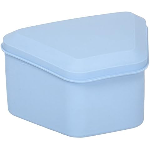 Pureline Oralcare Denture Container Capable of Soaking a Complete Upper and Lower Denture, Light Blue Cover