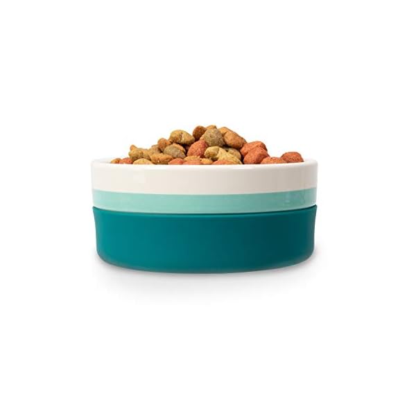 Now House for Pets by Jonathan Adler Green Chroma Duo Bowl, Small | Dishwasher Safe, Easy to Clean Dog Bowl with Anti-Skid Lid | Dual Functionality Bowl for Dogs for Storage or Travel Now House for Pets by Jonathan Adler Green Chroma Duo Bowl, Small | Dishwasher Safe, Easy to Clean Dog Bowl with Anti-Skid Lid | Dual Functionality Bowl for Dogs for Storage or Travel