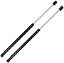 ANPART Hood Lift Support Struts Fit For Dodge Ram 1500 2009-2010,For Ram 1500 2011-2017,For Ram 2500 2011-2017,For Ram 3500 2016-2017
