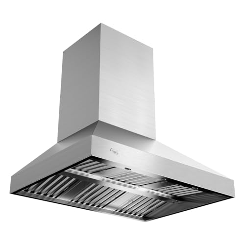 Awoco 48” Outdoor BBQ Wall Mount Vent Hood Type 304 Stainless Steel, 4 Speeds 2000 CFM, Dual Blowers, Adjustable LED Lights, 2 x 8” Round Top Vents (48”W x 36”D)