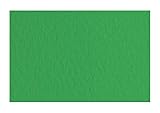 Honsell 21297112 - Fabriano Tiziano Pastellpapier Prato, DIN A4, 50 Blatt, 160 g/m², hoch hadernhaltig, säurefrei und alterungsbeständig, griffige, raue Oberfläche