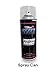 Purple Flare Candy Spray Can Paint, 12oz | High-Gloss Polyurethane Automotive Paint | Professional-Grade Candy Paint for Cars, Motorcycles & More