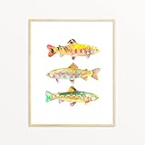 Trout Watercolor Art Print....