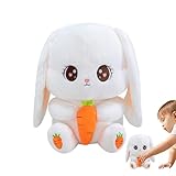 Mise à niveau esthétique de l'espace : la peluche remplit une fonction décorative qui enrichit l'attrait visuel des zones multi-espaces, y compris le bureau, la voiture, le canapé, le lit et le bureau, assurant une ambiance calme et accueillante dans n'importe quel endroit
