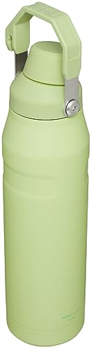 Image of Stanley IceFlow Fast Flow Water Bottle | Angled Spout Lid | Lightweight & Leakproof for Travel & Sports | Insulated Stainless Steel | BPA-Free
