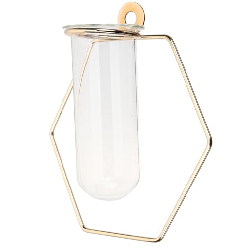 Toyvian Vase Mural Décoratif en Verre Hexagonal Doré, Station De Propagation des Plantes D’intérieur, Petit Format pour Décoration Murale Maison, Bureau Et Jardin, Style Nordique Design Moderne
