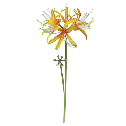 Image of 6 Stems 26.38 Inch Artificial Lycoris Radiata Spider Lily Flowers for Home Garden Decoration (Orange)