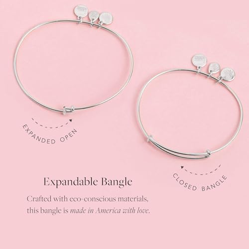 Alex and Ani Because I Love You Expandable Bangle for Women, Best Friends Arrow Charm, Rafaelian Silver Finish, 2 to 3.5 in, Set of 2, One Size (A20EBBFSETRS)4