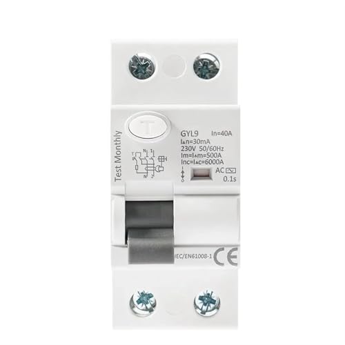 Disjoncteur à courant résiduel AC ELCB RCD 2 pôles 100A 100mA 6KA GYL9