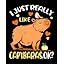 I Just Really Like Capybara Ok
