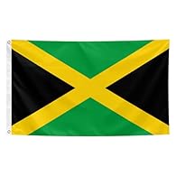 Material:Made of 100% polyster friber for long lasting use Size: 3 × 5 FT Craftsmanship：Our national flag adopts advanced high-definition printing technology for crisp graphics and vibrant colors. With double-stitched edges, canvas header and two bra...