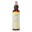 Gentian 20ml