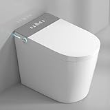 WinZo 23" Compact Smart Toilet with Bidet Seat Built-in For Small Bathroom, Auto Flush, LED Night Light,Heated Bidet with Warm Air Drying (White with Grey Panel)