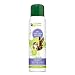 Professional Strength Fabric Refresher Pet Stain Remover, Deodorizer, Odor Eliminator for Dogs and Cats, 14 Ounce