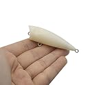 10PCS Unpainted Pencilbait Popper lipless Blanks 6.3cm 5.47g with Free 3D Fishing Eye Crankbait Bait
