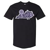 500 LEVEL Racing Louisville FC Groovy State Heavyweight Tee (Black, Large)