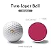 Dinosaur Bones Practice Golf Ball Realistic Feel and Long Lasting Limited Training Balls Gifts for Men Women