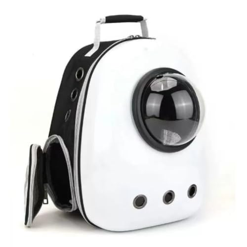 BlendUp LpL[obO LpbN LpL[obNpbN FDJvZ y ^ ^] Lv s ω׏d6.5kg (C)