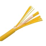 HAIZHI