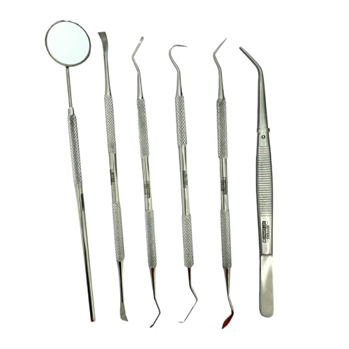 6-Piece Dog & Cat Dental Kit