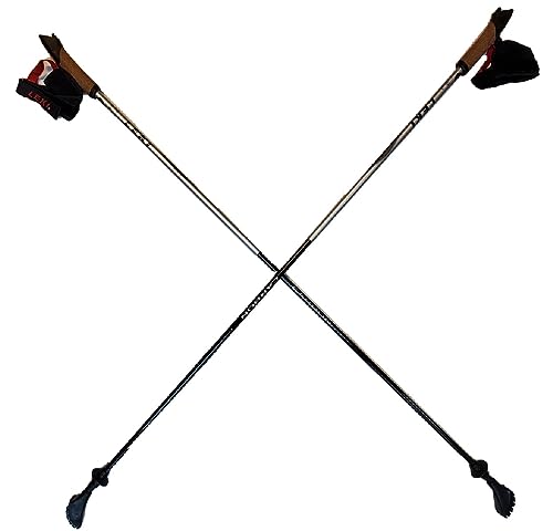 LEKI Nordic Walking Ultra Carbon HTS 6.0 Series Trekking Pole Silver 120cm/48in