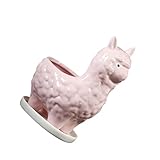 Maceta para exteriores: perfecta para la decoración de tu hogar u oficina. peso ligero y portátil. no ocupe demasiado espacio.