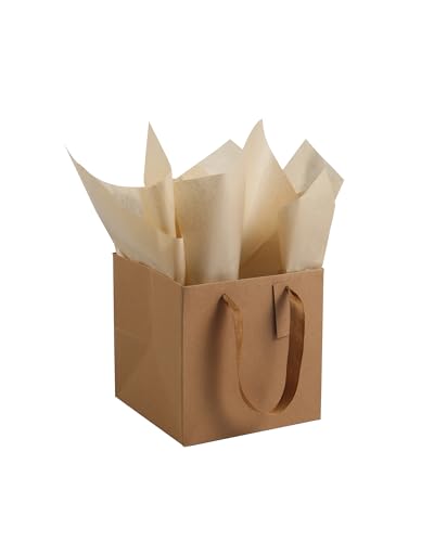 ADIDO EVA 10 Pcs Brown Gift Bags with Tissue Square Gift Bags 8x8x8 in