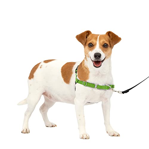 Petsafe Easy Walk No-Pull Dog Harness - The Ultimate Harness To Help Stop Pulling - Take Control & Teach Better Leash Manners - Helps Prevent Pets Pulling On Walks - Small, Apple Green/Gray #TOP6