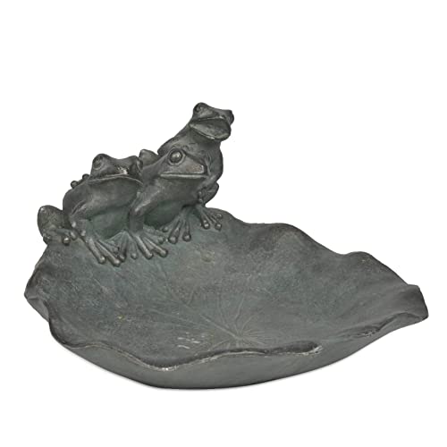 Best Bird Baths For Fun (and Frogs)