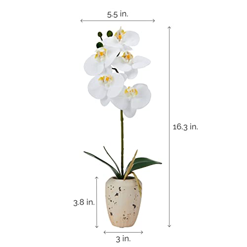 Mikasa Artificial Orchid in Pot, Real Touch Phalaenopsis Orchid, Faux Aged Cement Pot, 16-Inch Single Branch, White/Yellow