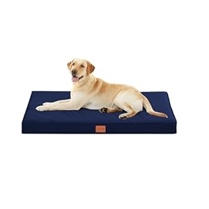 WAVVE Panier Chien Grande Taille, Coussin Chien Orthopedique et Dehoussable, Lit pour Chien Lavable, Fond Antidérapant Matelas Chien, 112 x 81 x 7.6 cm, Bleu Marine