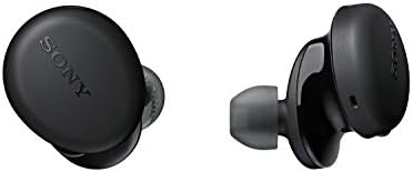 Sony WF-XB700 Wireless Bluetooth Headphones, 18 Hours Battery Life and Quick Charge and Voice Assistant Compatible, Black