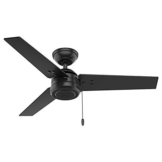 HUNTER 50260 Cassius Outdoor Ceiling Fan with Pull Chain, 44", Matte Black Finish